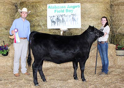 Reserve Grand Champion Bred-and-Owned Female