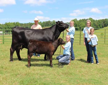 Grand Champion Cow-calf Pair